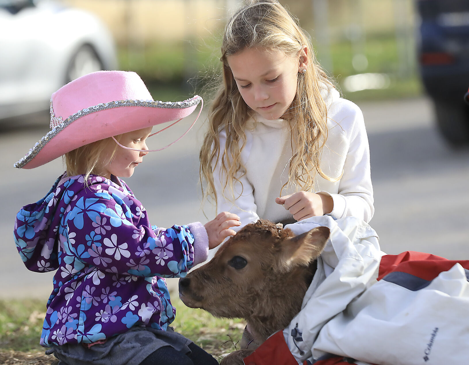Grazing 12-11192020133506